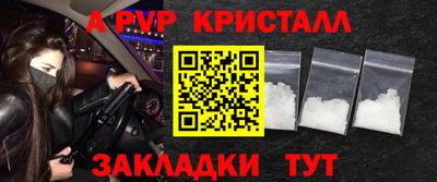 шишки Братск