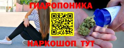 шишки Братск