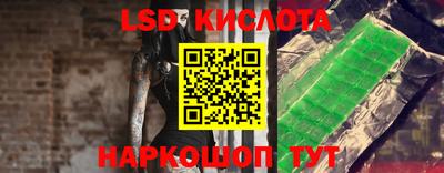 шишки Братск