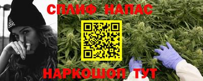шишки Братск