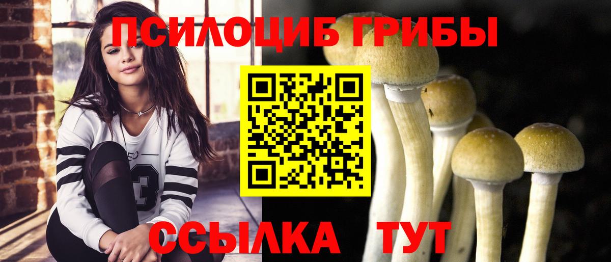 купить наркоту  Вход с VPN  Галлюциногенные грибы GOLDEN TEACHER  Сунжа  Галлюциногенные грибы Magic Shrooms 
